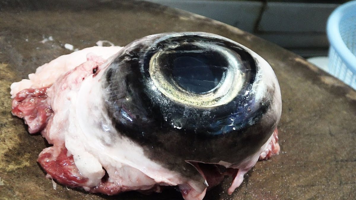 Awesome Food Recipes!The Best Bluefin Tuna‘s Big Eye You'll Ever Eat