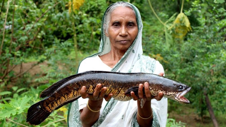 Big Fish Recipe Cooking by our Grandma | Traditional Big Sole Fish Recipes | Village Food