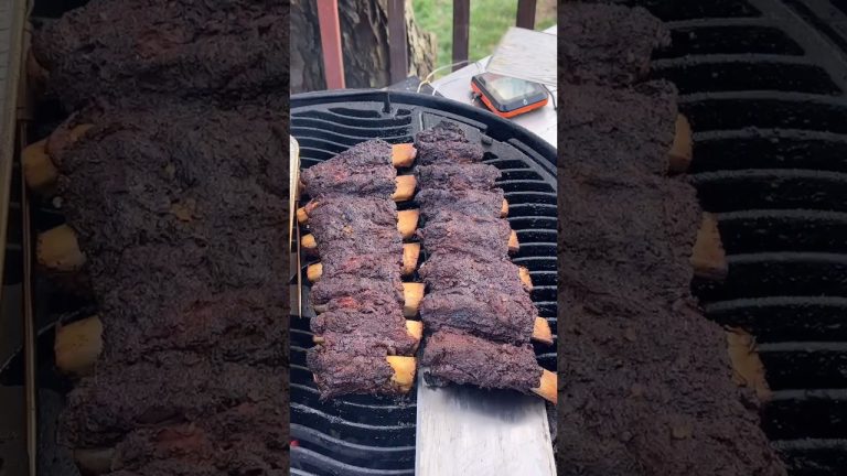 Epic Beef Ribs #viral #food #journey #recovery #adhdtiktok #shortvideo