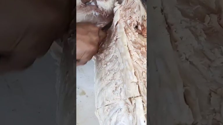 Three layers of pork can be used to make many dishes. #chickenpork