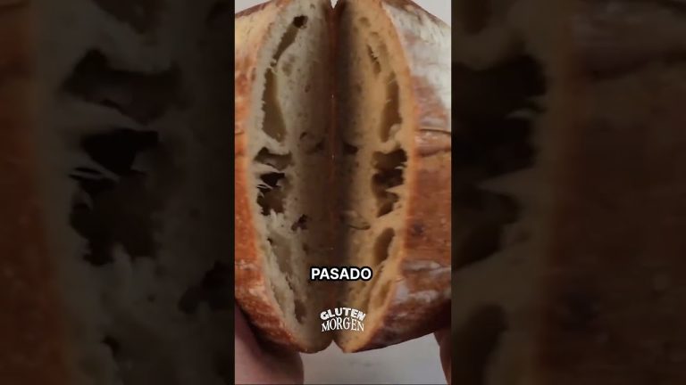 ¿Tus panes no crecen en el horno? ¡Podemos ayudarte! 💪