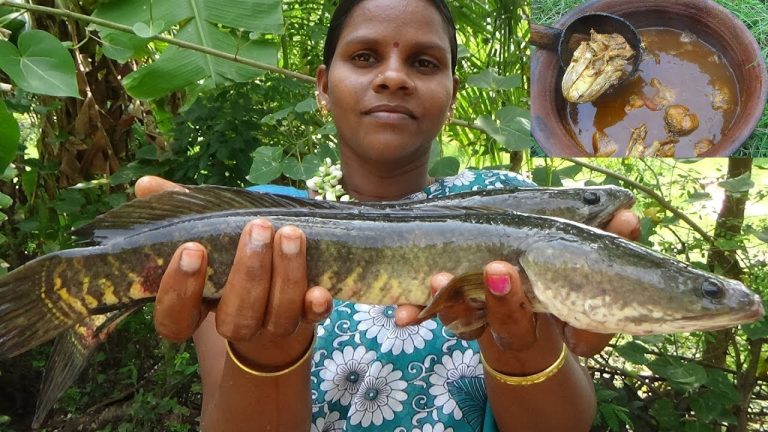 Viral Fish Kulambu Recipes / Murrel Fish Curry / River Fresh Viral Meen Kulambu