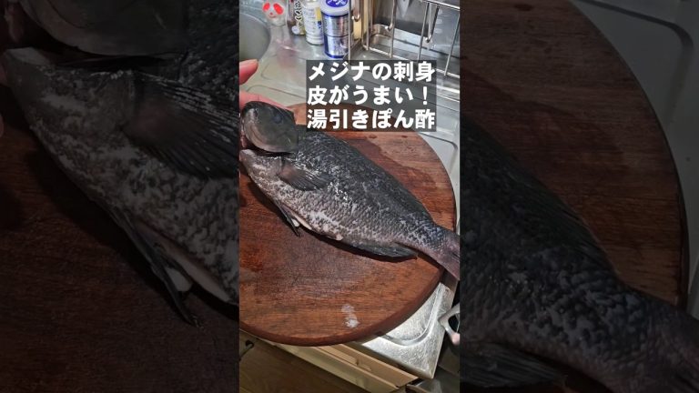 釣り人がすげぇ好きなメジナのうめえ食い方(お刺身)