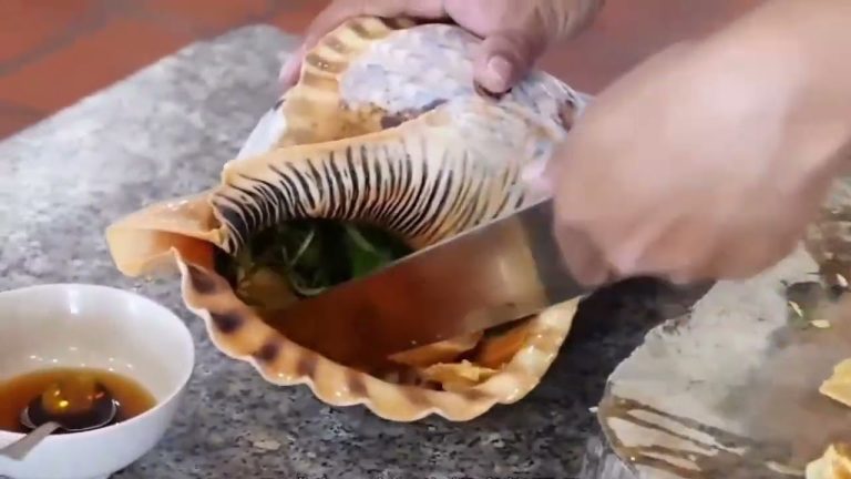 Giant shell/seafood recipes #food #trending #seafood #chicken #shell #seaanimals #nature #sea