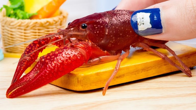 1000+ Yummy Miniature Creamy Lobster Pasta Recipe | Best of Miniature Foods By Miniature Yummy