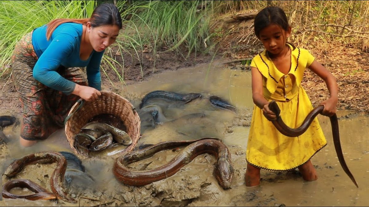 Amazing catch Ell & Fish of survival- Cooking ell recipe & Grilled fish eating delicious