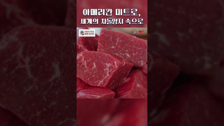 #Shorts 아메리칸 미트로, 세계 속으로 Pt.2: BEEF | Ep.3 차돌양지 편