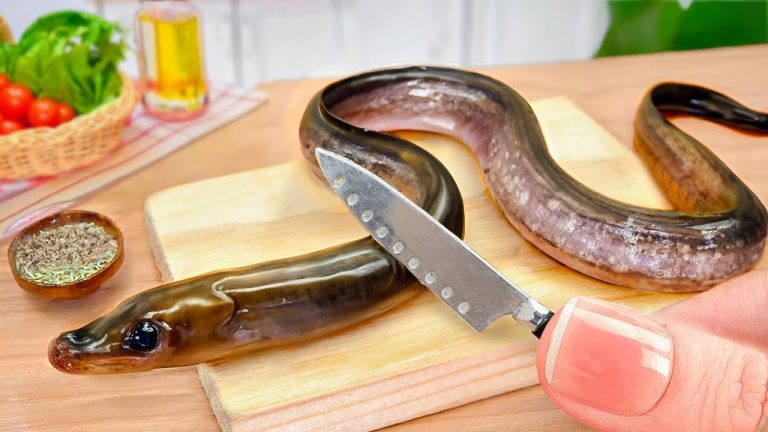 Best Mini Eel Fish Cooking Recipes by Petite Cooking 🐙 Delicious Sea Food Recipes of The Day