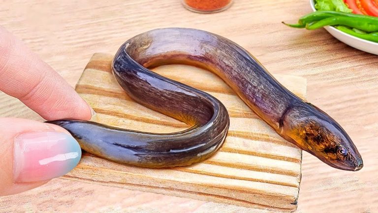 How to Cook Miniature Eel Fish 🐙 Daily Miniature Sea Food Recipes by Petite Cooking