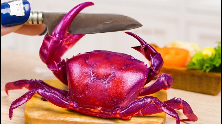 Mini Seafood Recipes🦀How To Make Miniature Spicy Crab Stir Fried Glass Noodles- Tiny Cooking