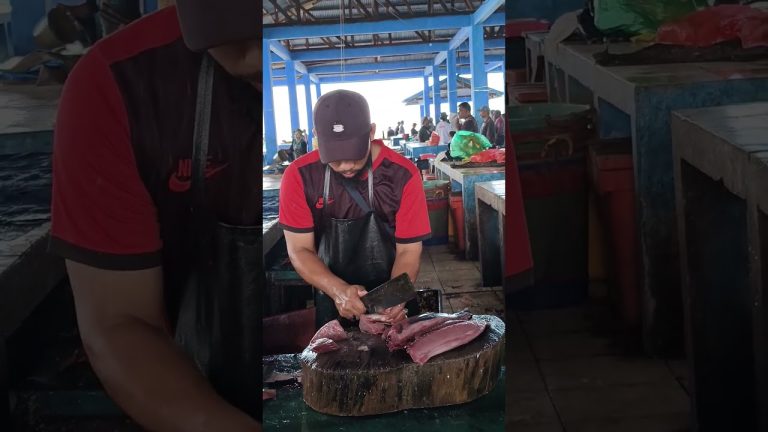 Pro, Bro Fadil potong ikan tongkol #cuttingfishtuna #fishrecipes #tuna