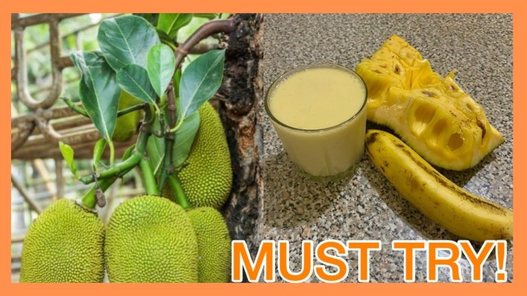 MUST TRY.. JACKFRUIT SMOOTHIE for the First Time | Easy Smoothies Recipe for Weight Gain