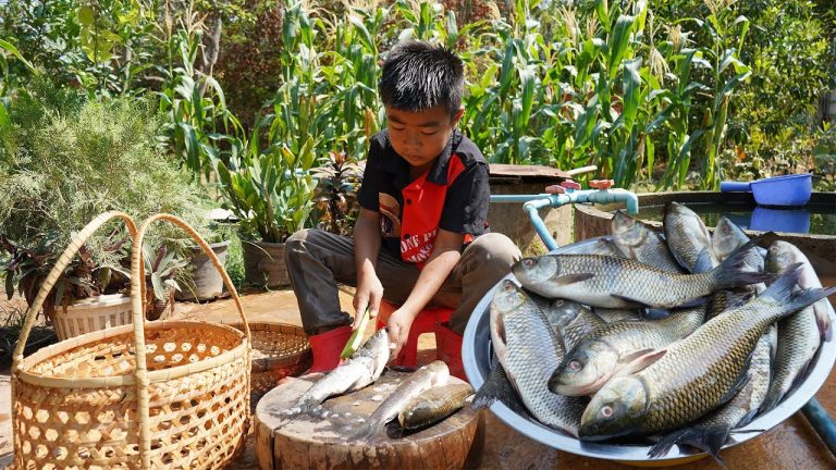 Chef Seyhak cook freshwater fish with unique skills – Yummy fish recipes – Chef Seyhak