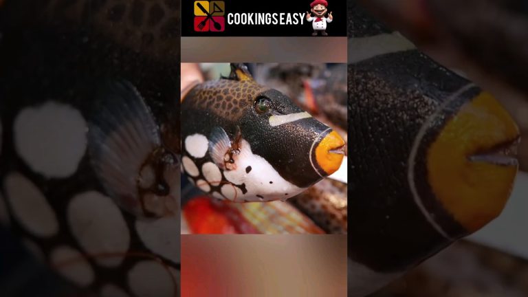 How to cook triggerfish asmr food