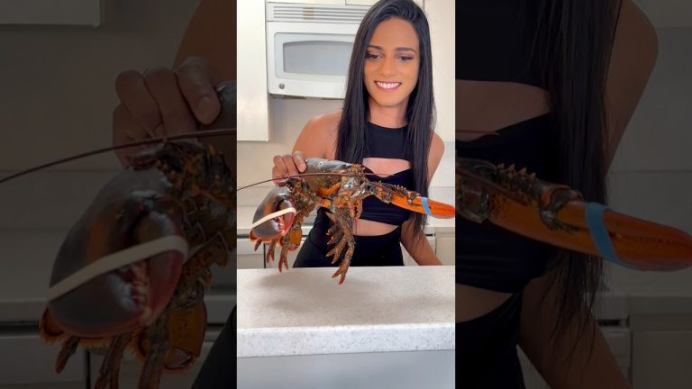 Larry the Lobster🦞#cooking #asmr #lobster #seafood #bisque #lobsterbisque #seafood #food #recipe