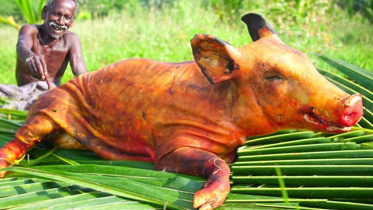 WILD PORK COOKED INSIDE CLAY | களிமண்ணில் சுட்ட முழு காட்டு பன்றி |  PORK RECIPE | Village Grandpa