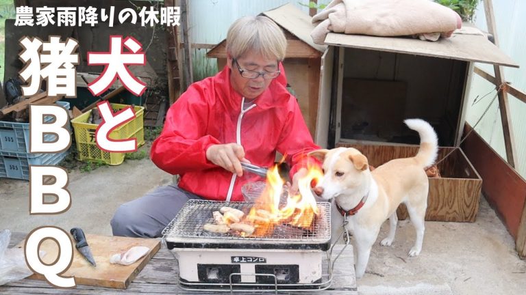 イノシシBBQ｜限界集落の雨の日、オヤジと犬