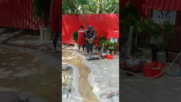 গ্রামীণ পদ্ধতিতে কাঁচা কাঁঠালের রেসিপি । #village #villagelife #cooking #recipe #shorts