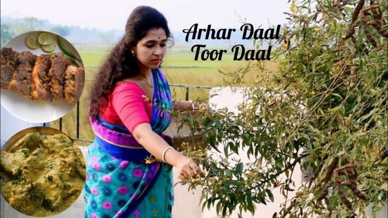 Traditional Bengali Katla Fish Recipe | কাতলা মাছ দিয়ে বিভিন্ন রকমের সুস্বাদু বাঙালি রেসিপি |