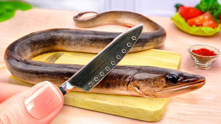 Best Mini Eel Fish Cooking Recipes by Petite Cooking 🐙 Delicious Sea Food Recipes of The Day