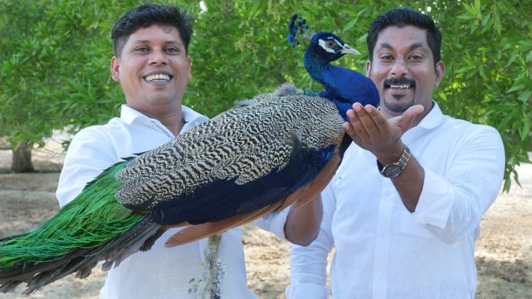വറുത്തരച്ച മയിൽ കറി | Traditional Peacock Curry Recipe | Cooking In a Dubai