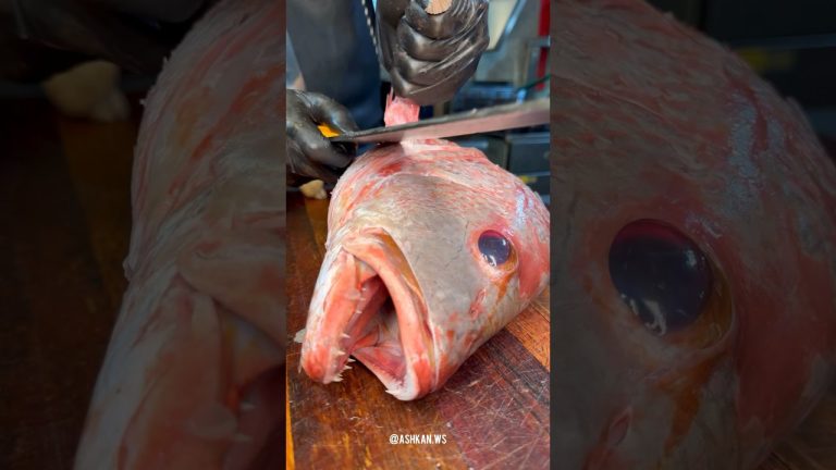 Southern special grilled fish with rice #fishcooking #seafood #sea h