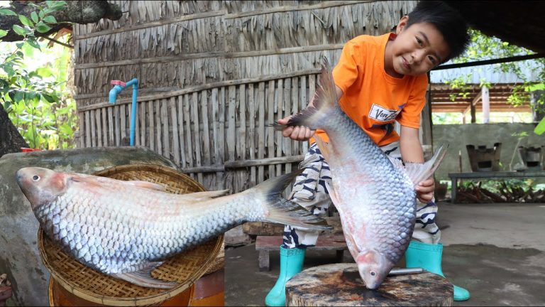 Unbelievable Big fish cooking by countryside chef / 2 recipes with giant fish – Chef Seyhak