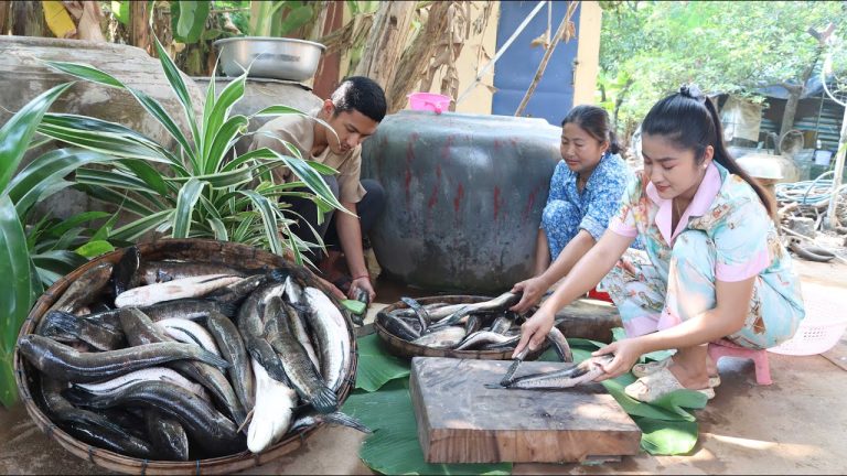 20 kg snakehead fish cook in 3 recipes – Countryside family prepare food for lunch