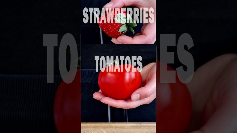 Smoothie rainbow week – the red one | Day 3 #smoothie #smoothierecipes