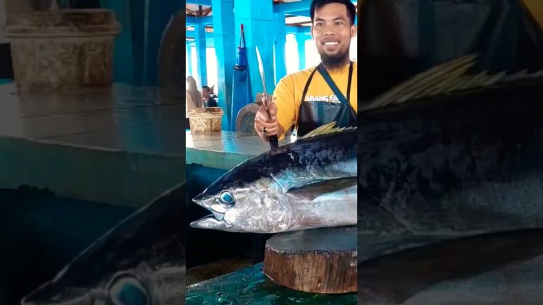 Fantastic Skills #shorts #viral #cuttingfishtuna #seafood #food #tuna #fish #seafoodrecipes #seafood