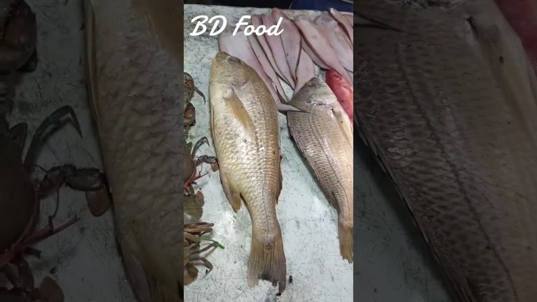 “How to Explore the Delicious World of Seafood: Recipes & Tips” #food #foodblogger #foodie #fish