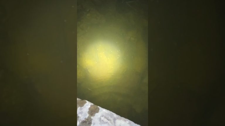 Genangan air yang besar diirigasi ini tapi banyak ikan😭 #824 #KOOKIKO