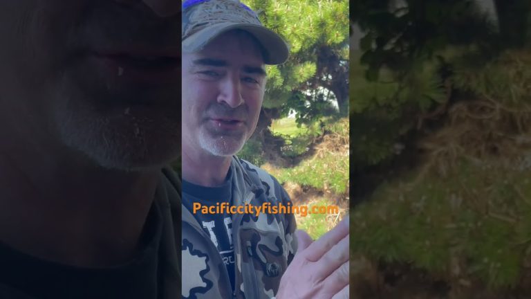 Eating crab guts/ butter #pacificcityfishing #dory #fishing #seafood #oregoncoast  #seafood recipes