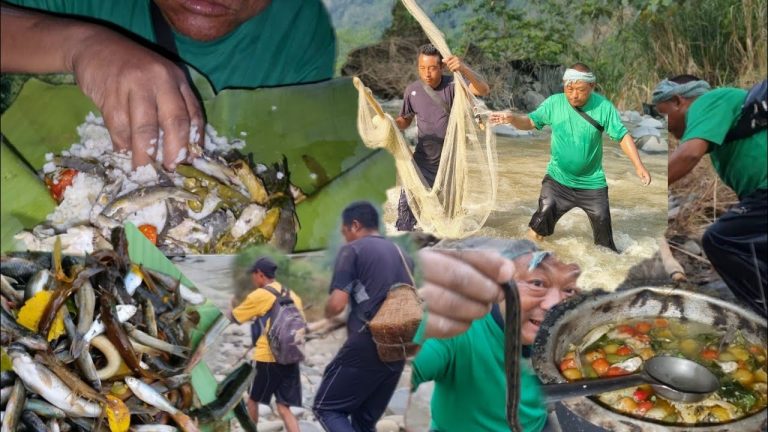 Amazing catching fish  in river |cooking  fish  recipes &eating  in forest |@khipsvlog3739 …