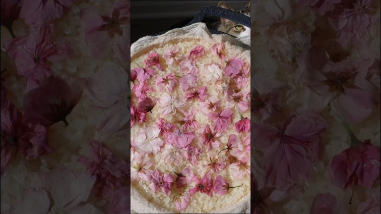 Pink and Sweet Sakura Wine 🌸🍶 (4 ingredients only, ready in 3 days)