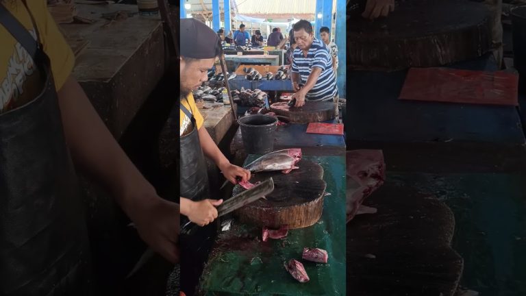 #cuttingfishtuna #fishrecipes #tunafish #fishfillet #food #tuna #seafoodrecipes #bigtuna #fishing