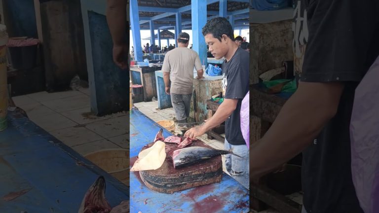 #cuttingfishtuna #fishrecipes #tunafish #fishfillet #food #seafoodrecipes #tuna #filletfish