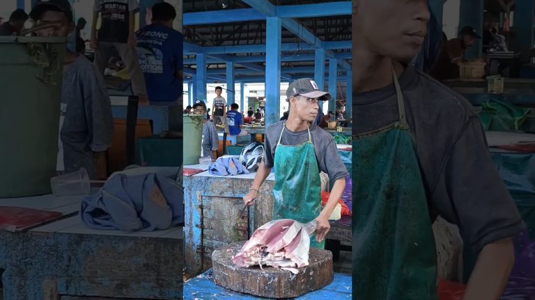 pro bro Adi fillet ikan tuna #cuttingfishtuna #food #tunafish #fishfillet #seafoodrecipes