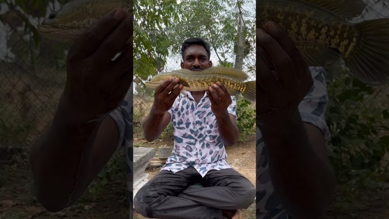Viral Meen Varuval | Fish Fry Recipe #shorts