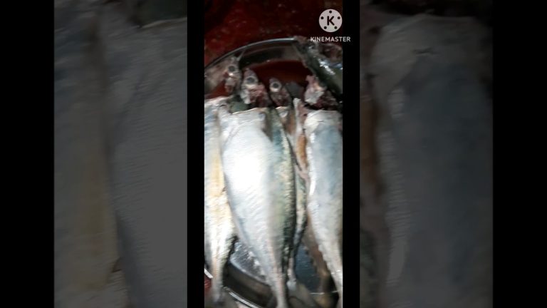 viral shorts # fish fry # may shorts recipe blog # shorts videos