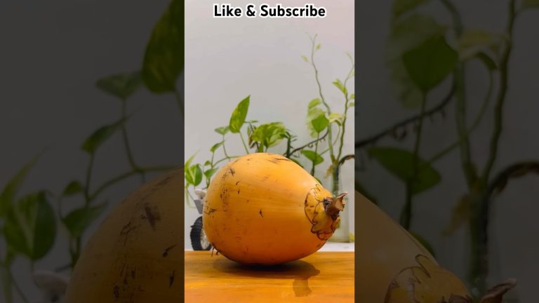 Favorite Summer Drink 🌴🥤Coconut Juice #shorts #shortvideo #short #shortsvideo #viral