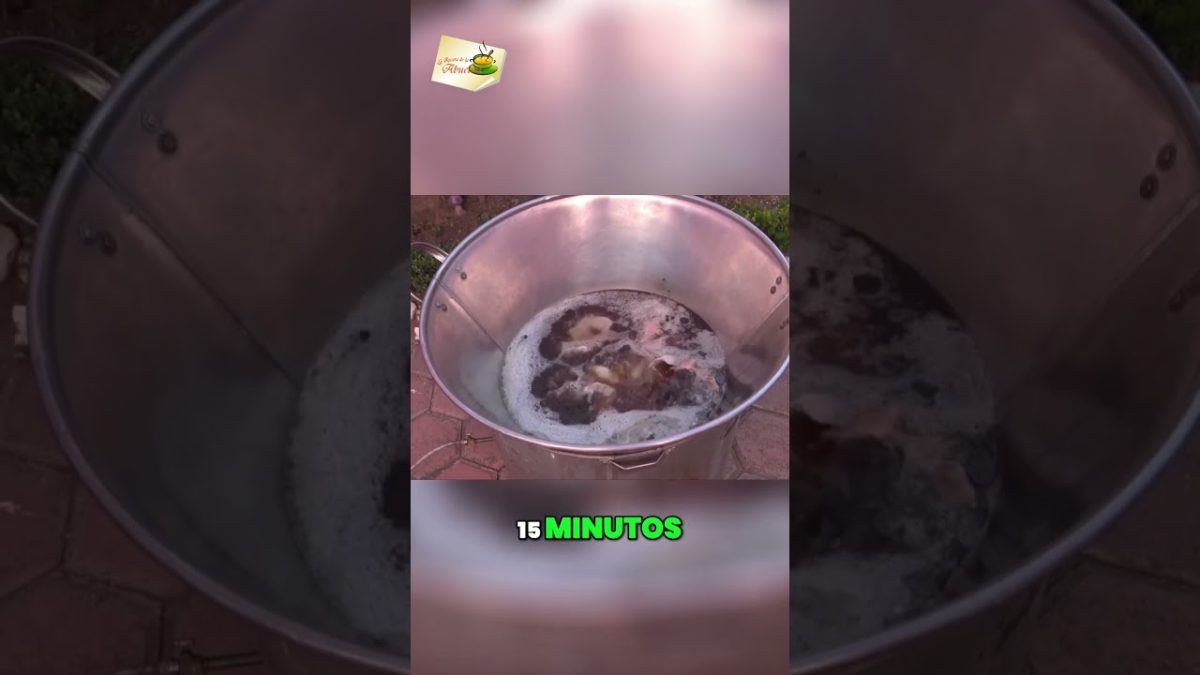¡Prepara una deliciosa receta de buche de cerdo!