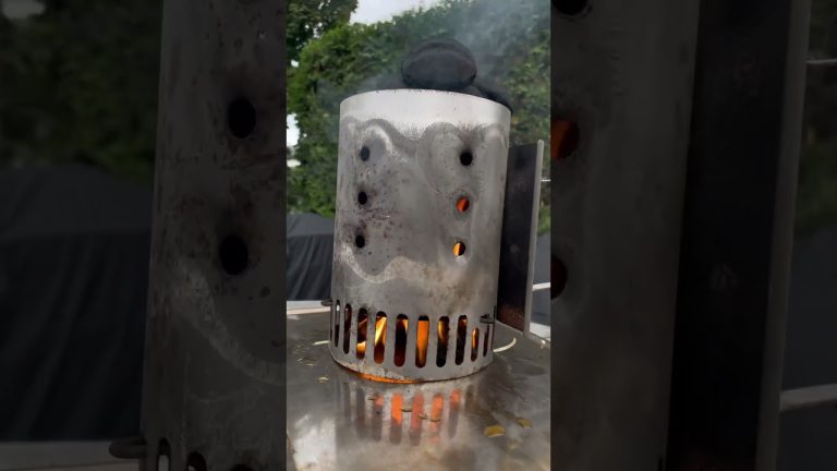 Rippchen vom Holzkohle Grill  #ribs #spareribs #backtotheroots #fire #fyp #shorts