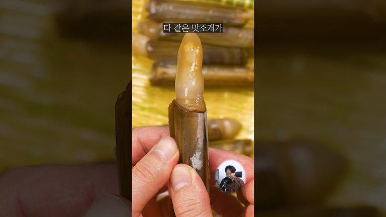 소고기보다 맛있다는 이 조개를 아시나요?