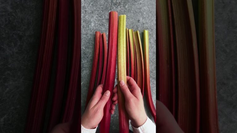 Does Red Rhubarb = Ripe? #Shorts