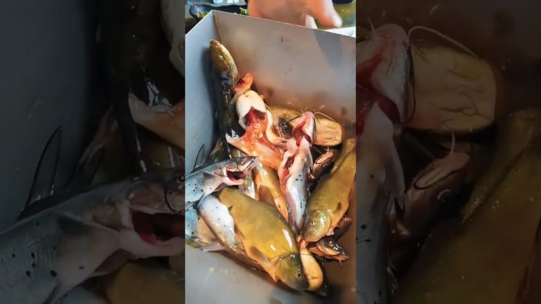 Customer is waiting for fish recipe to be made || #fish #cooking #recipe #food