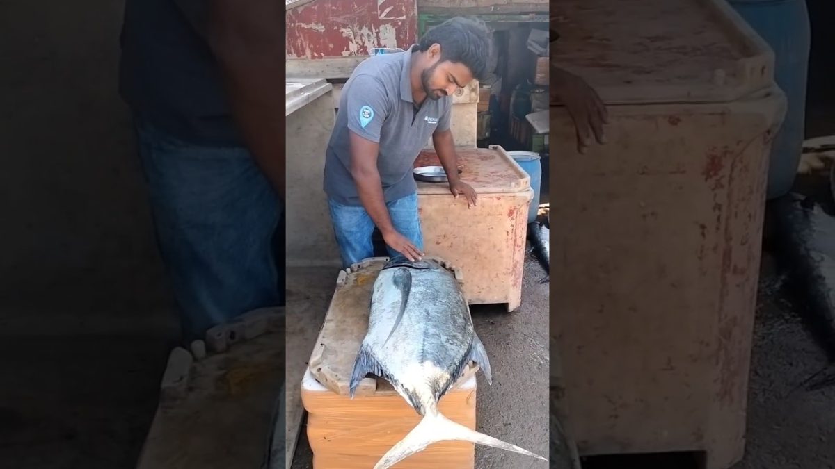 big fish 🐟|పెద్ద కరగడ పార చేప|#beachboynaidu #fishing #sea #fish #trending #seafood #viral #shorts
