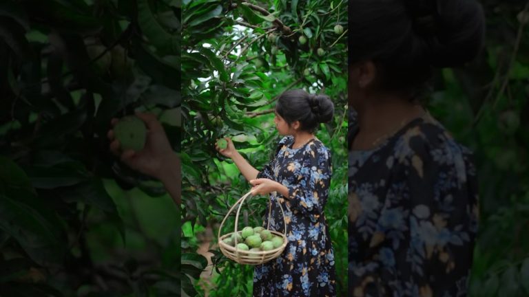 Easy Mango Milk Shake to Cool Down 🥭 Best Refreshing drink #shorts #howto