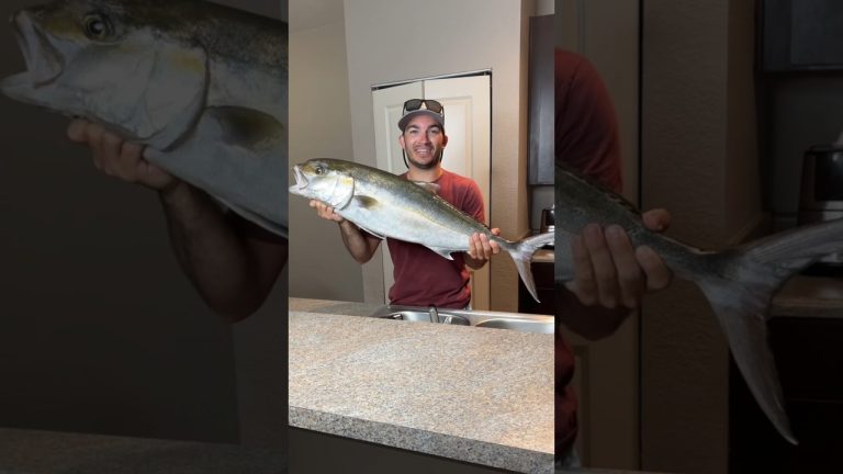 Catch and cook🎣🐟 I caught an AmberJack! #fishing #catchncook #seafood #catchandcook #cooking #fish