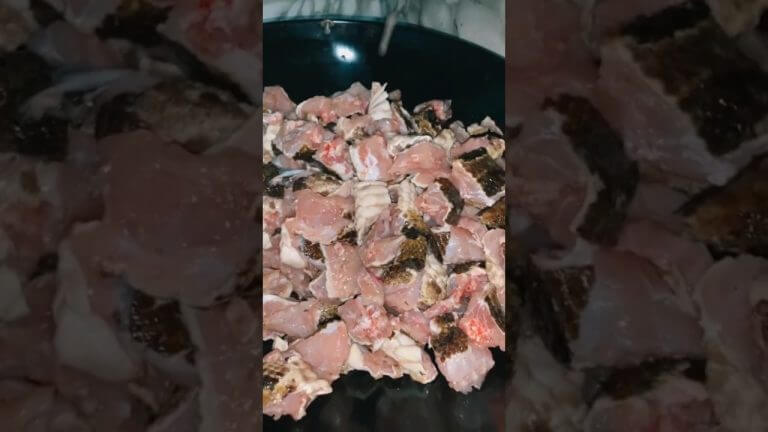 Gadis Dayak masak ripung rica-rica pedas satu meter lebih